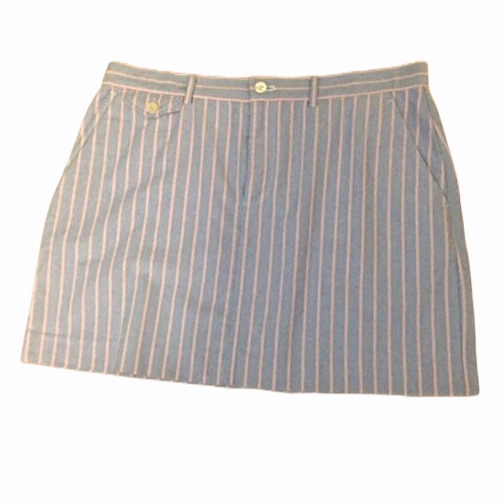 Ralph Lauren Blue & Pink Striped Skirt